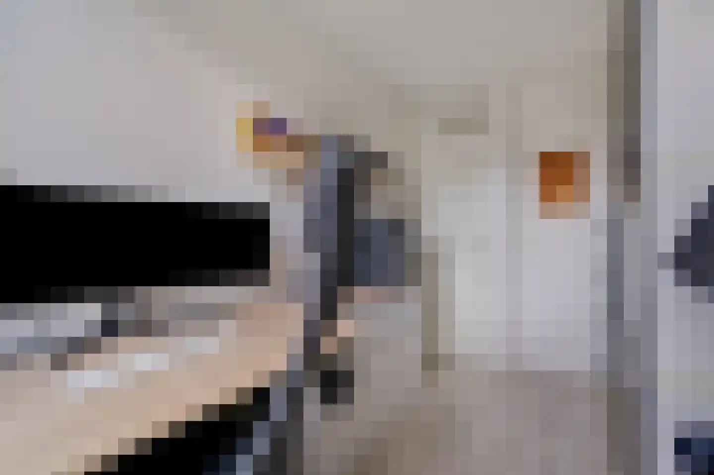 Thuvinestraat 46 Duiven thumbnail 31