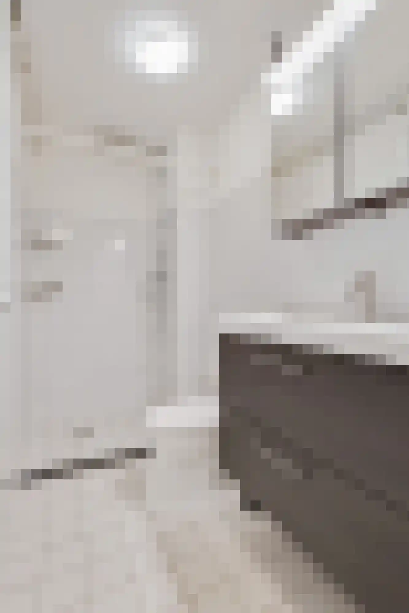 Thuvinestraat 46 Duiven thumbnail 32