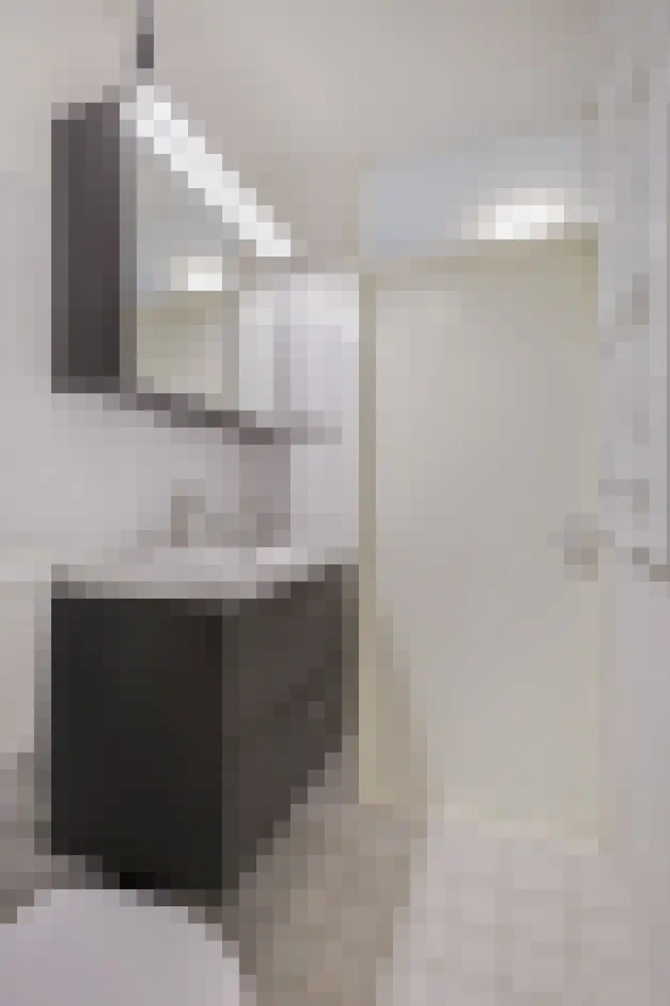 Thuvinestraat 46 Duiven thumbnail 36