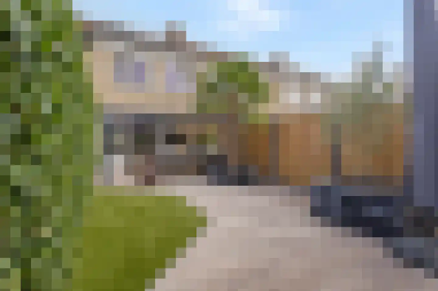 Thuvinestraat 46 Duiven thumbnail 4