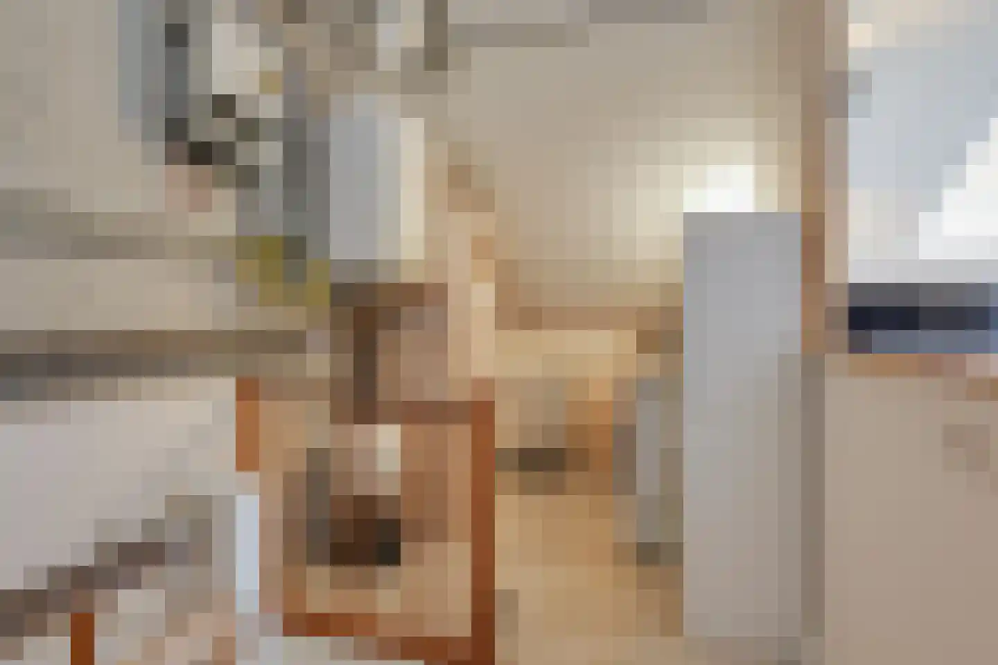 Thuvinestraat 46 Duiven thumbnail 46