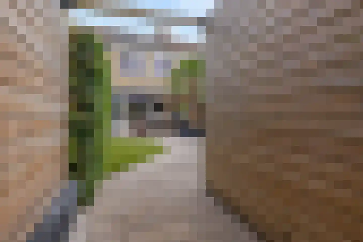 Thuvinestraat 46 Duiven thumbnail 53