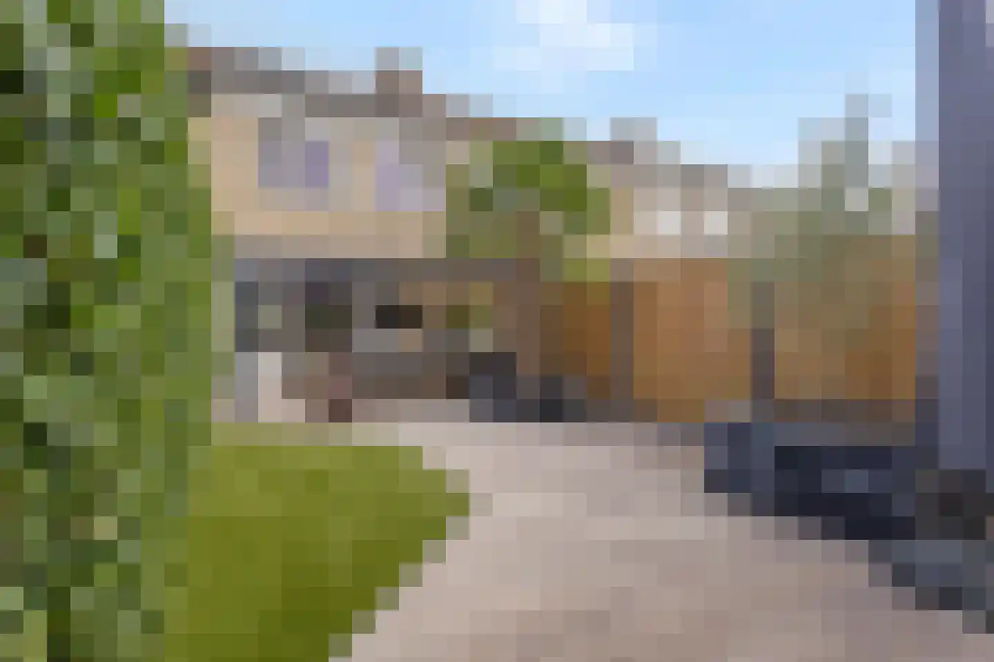 Thuvinestraat 46 Duiven thumbnail 54