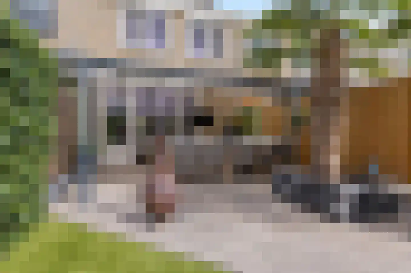 Thuvinestraat 46 Duiven thumbnail 55