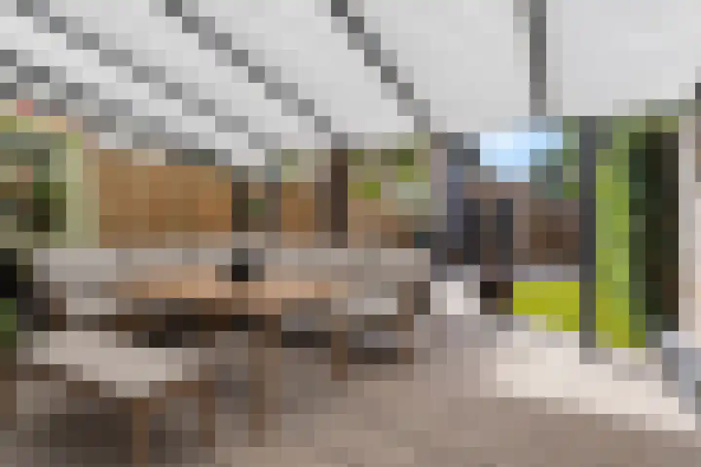 Thuvinestraat 46 Duiven thumbnail 56