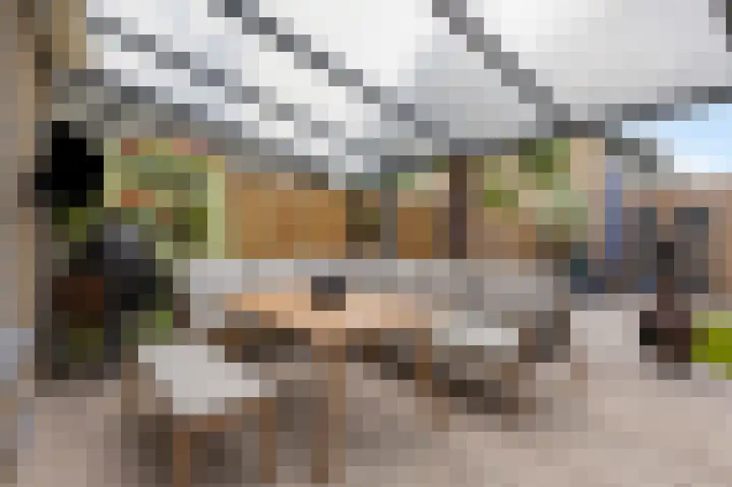 Thuvinestraat 46 Duiven thumbnail 57
