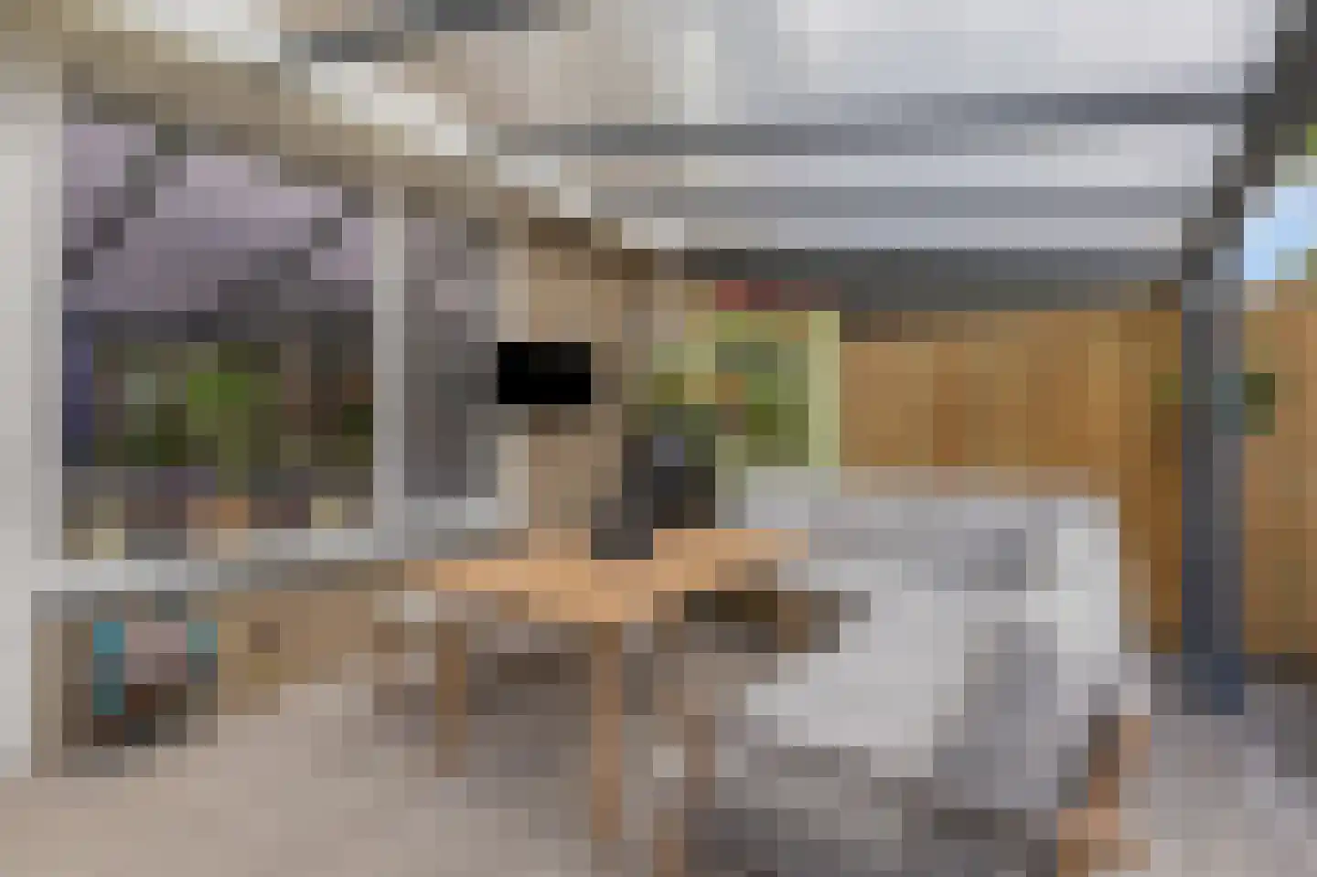 Thuvinestraat 46 Duiven thumbnail 58