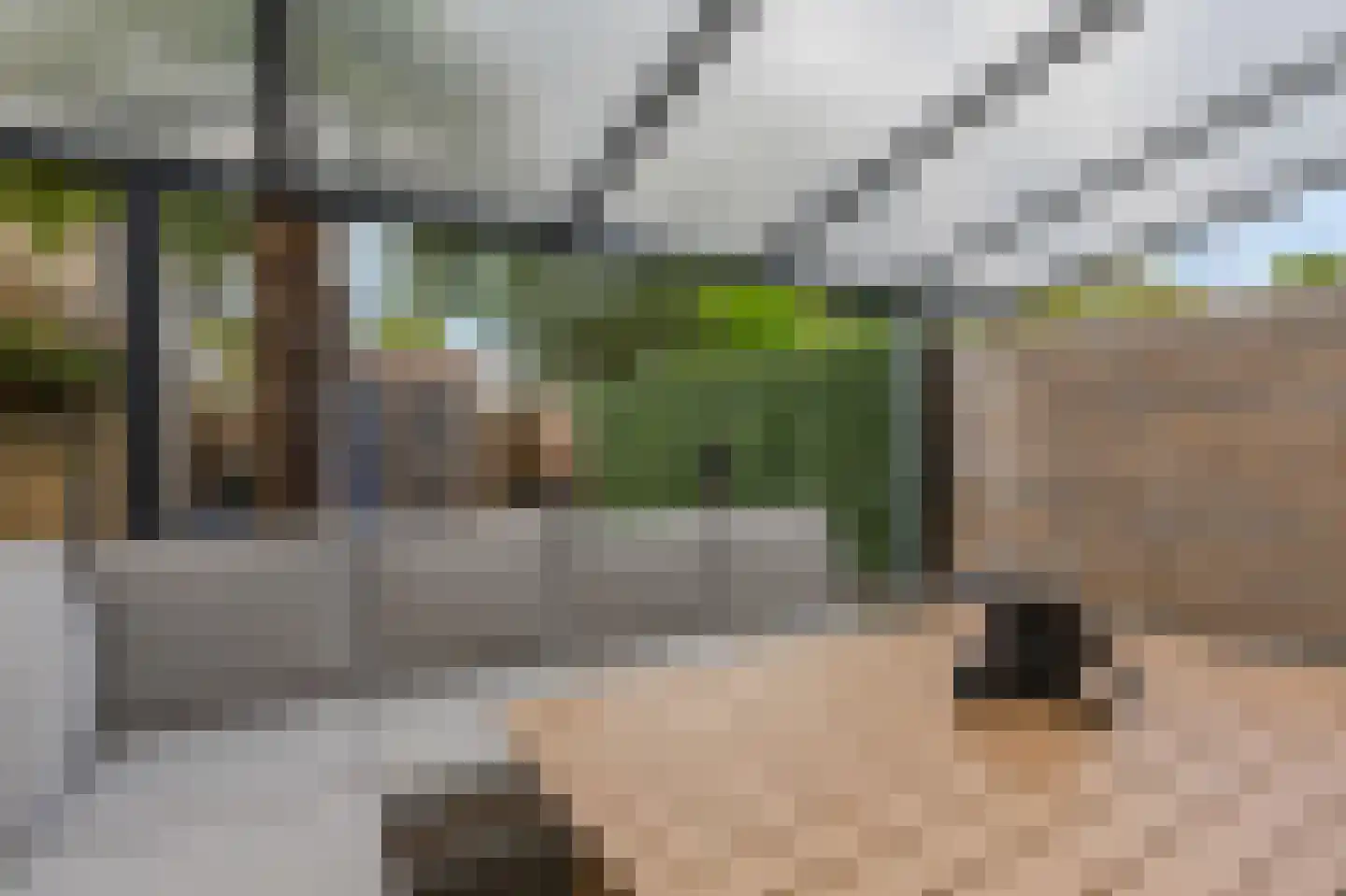 Thuvinestraat 46 Duiven thumbnail 59