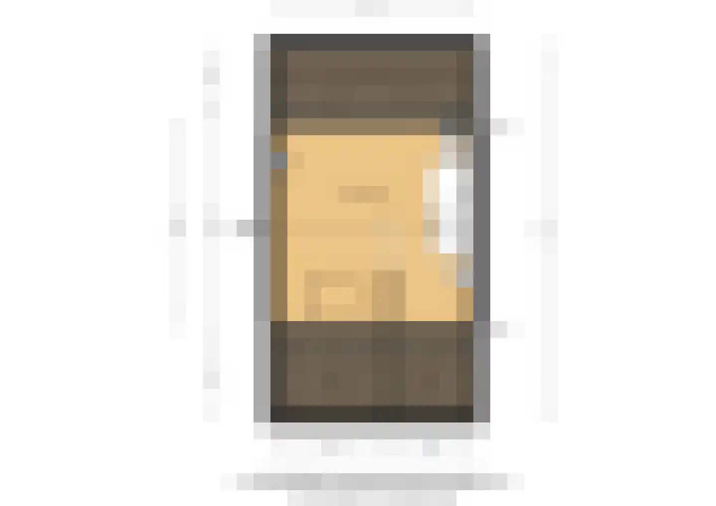 Thuvinestraat 46 Duiven thumbnail 69