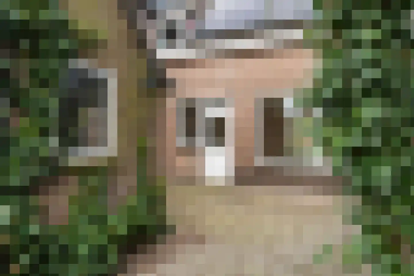 Thyakkerstraat 11 Dalen thumbnail 21
