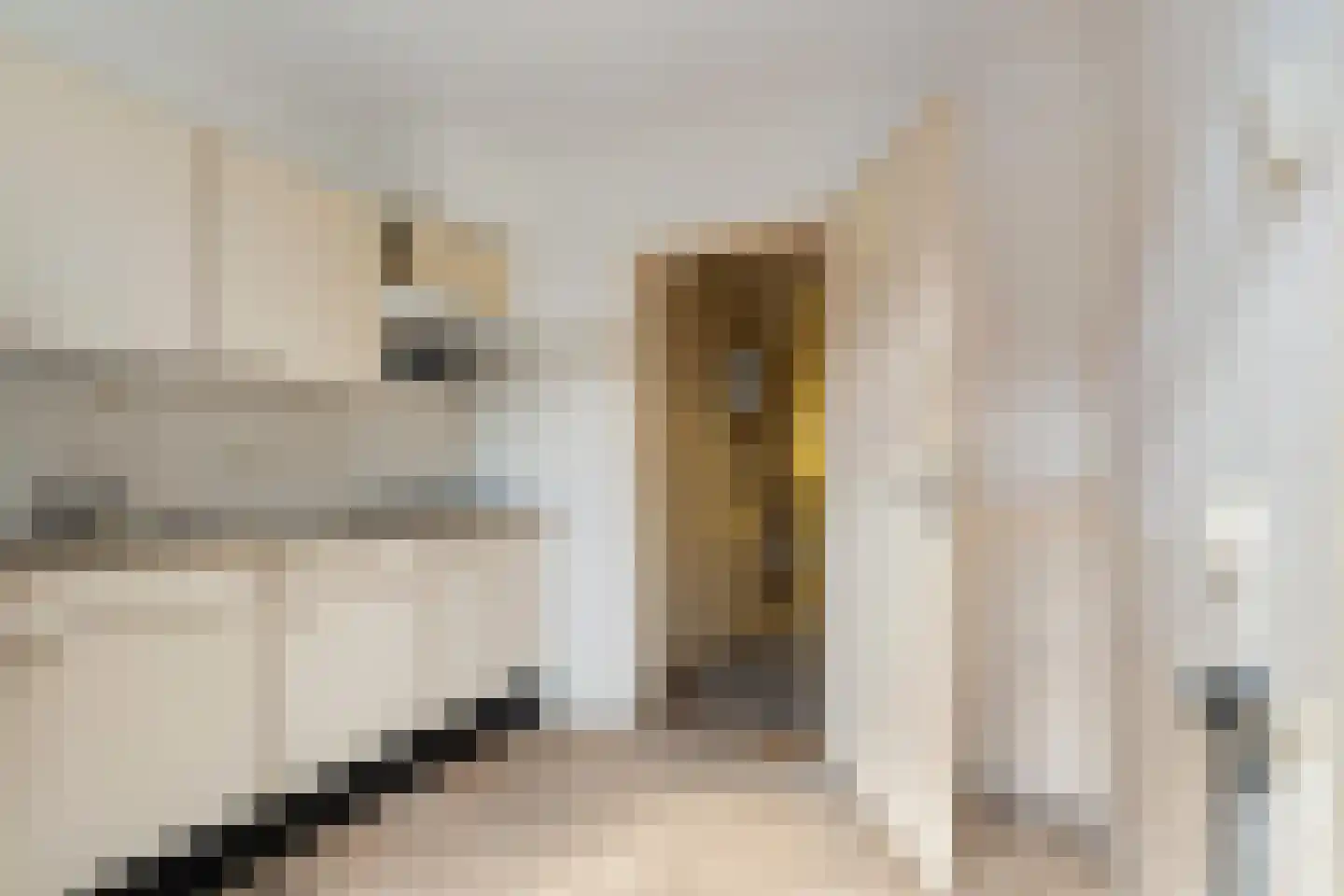 Thyakkerstraat 11 Dalen thumbnail 6
