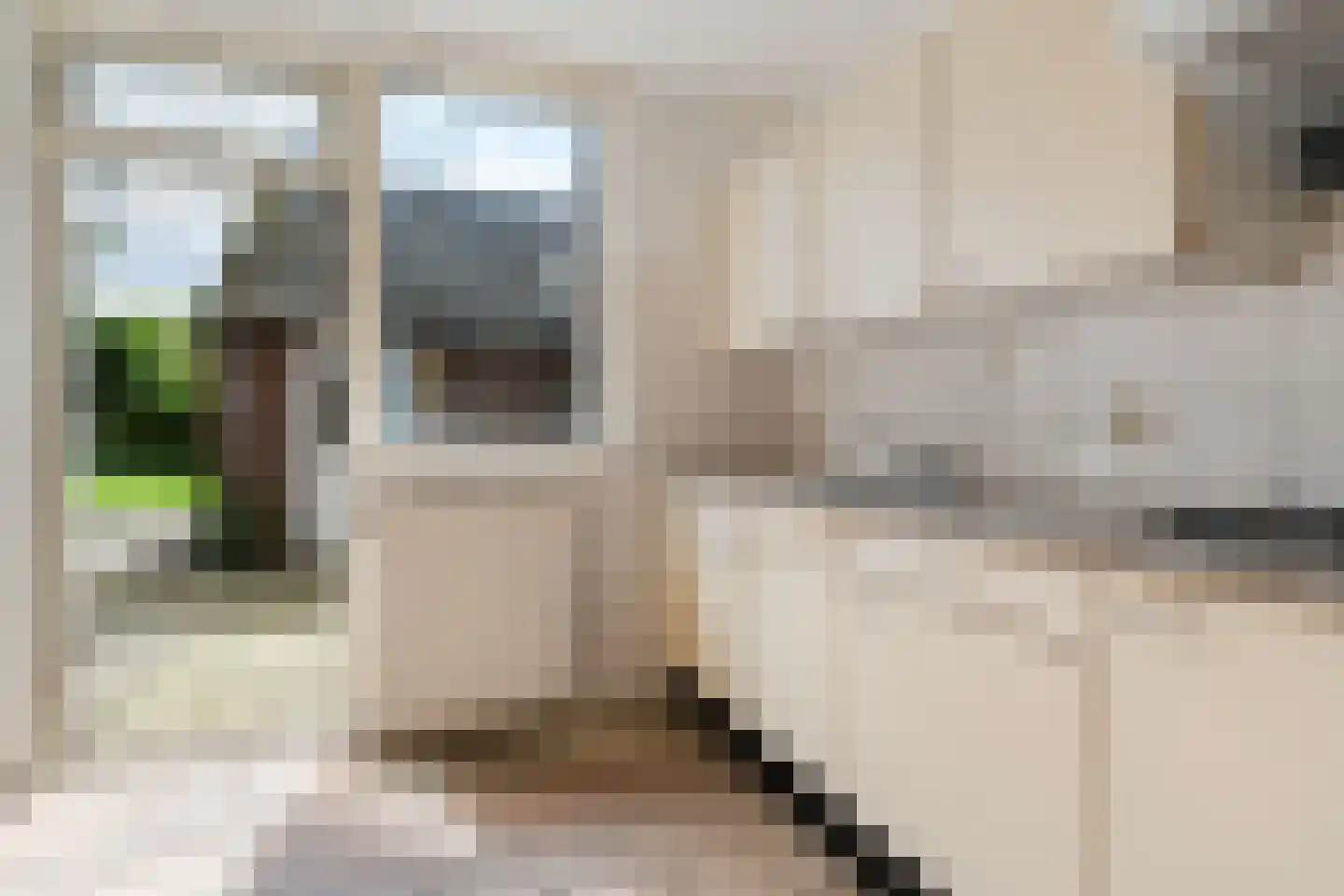 Thyakkerstraat 11 Dalen thumbnail 7