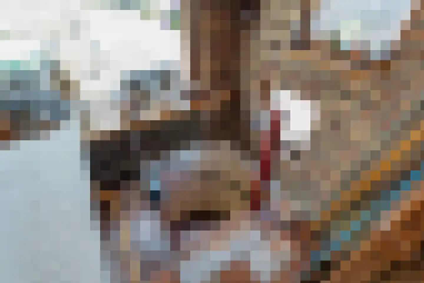 Thyakkerstraat 8 Dalen thumbnail 14