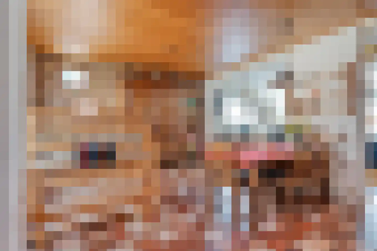 Thyakkerstraat 8 Dalen thumbnail 17