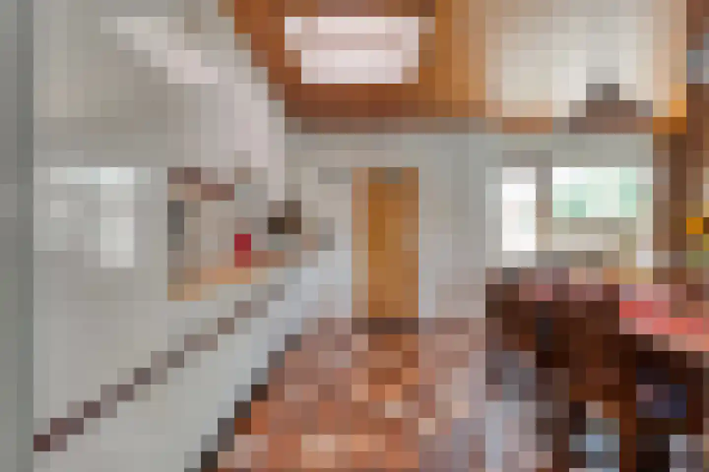Thyakkerstraat 8 Dalen thumbnail 20