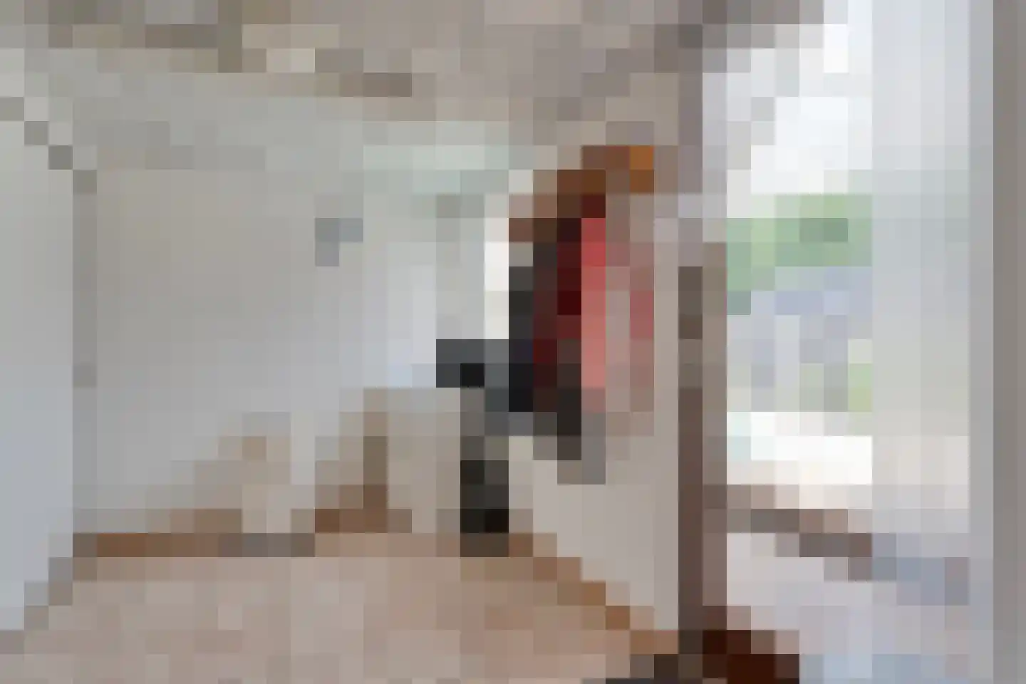 Thyakkerstraat 8 Dalen thumbnail 21