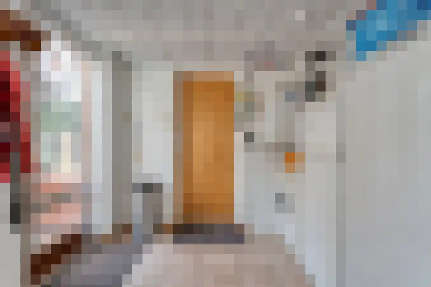 Thyakkerstraat 8 Dalen thumbnail 22