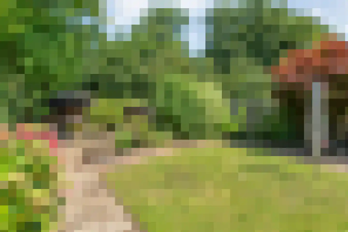 Thyakkerstraat 8 Dalen thumbnail 38