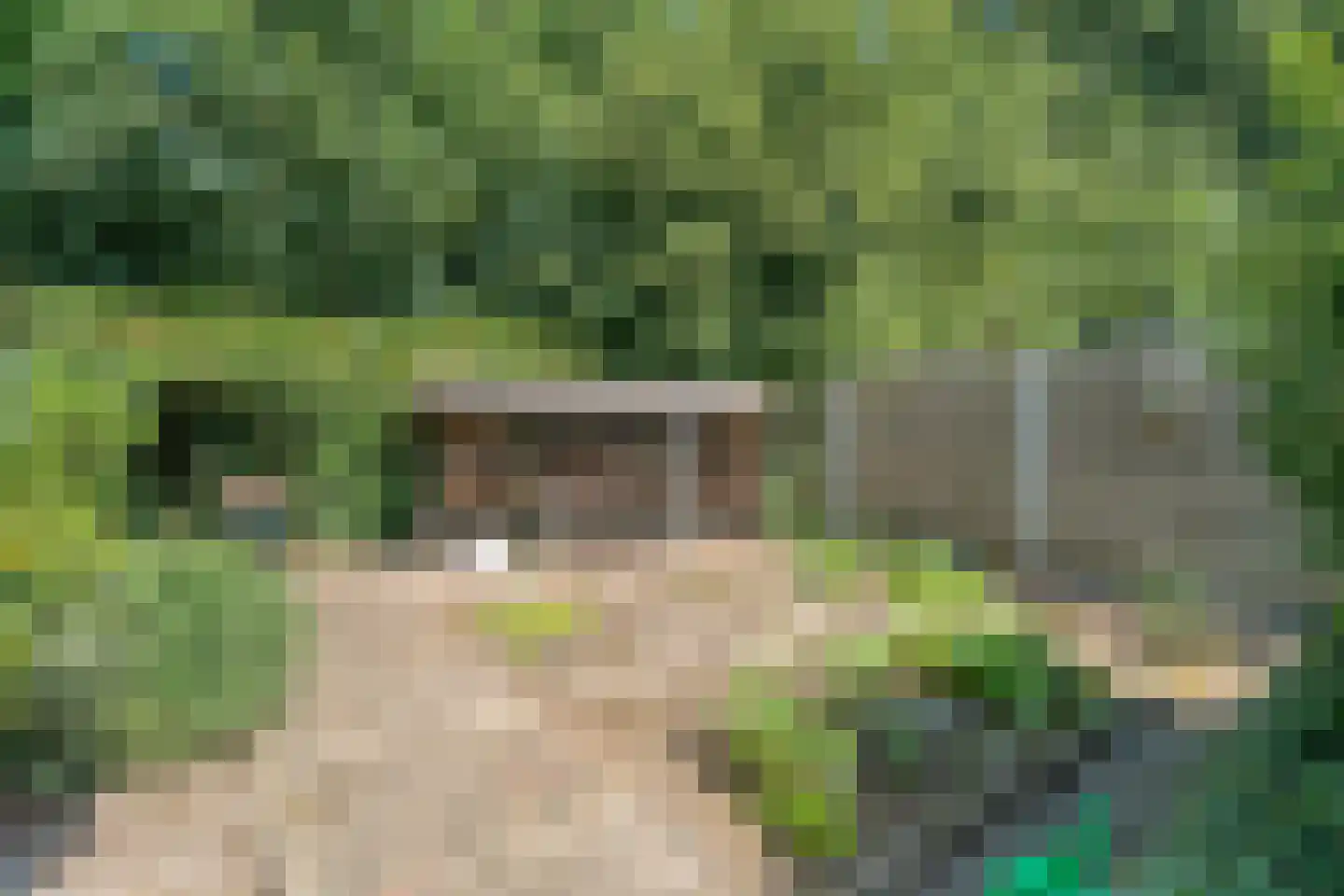 Thyakkerstraat 8 Dalen thumbnail 41
