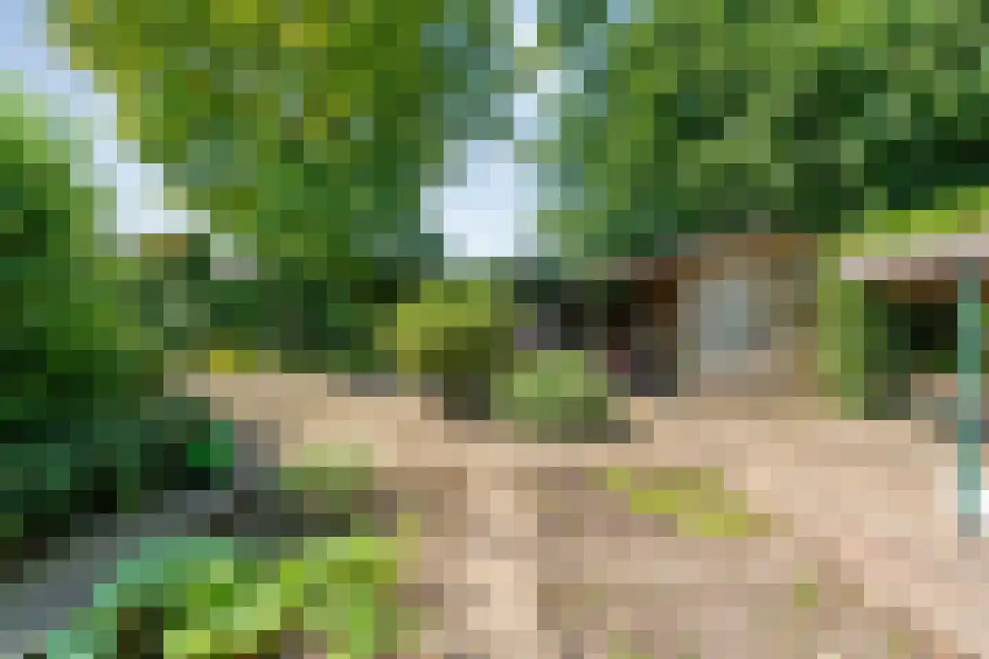Thyakkerstraat 8 Dalen thumbnail 42