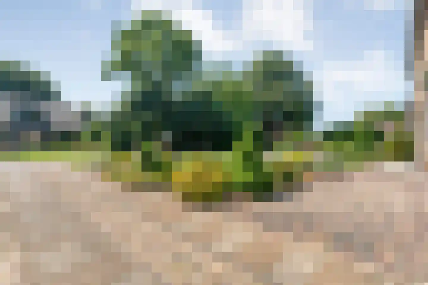 Thyakkerstraat 8 Dalen thumbnail 5
