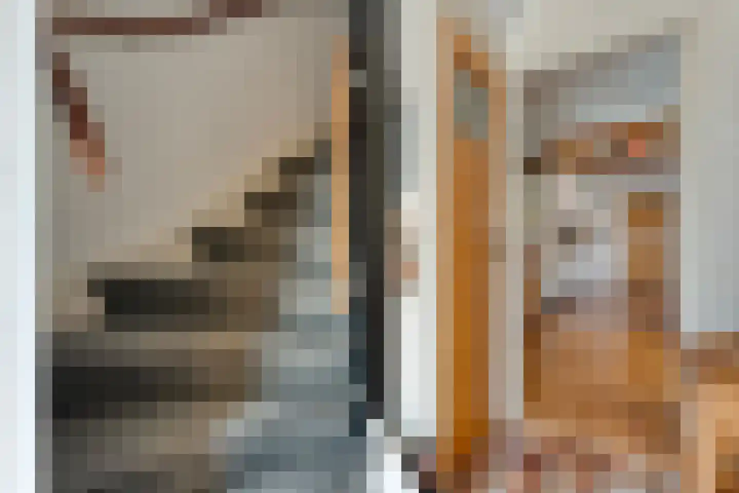 Thyakkerstraat 8 Dalen thumbnail 9