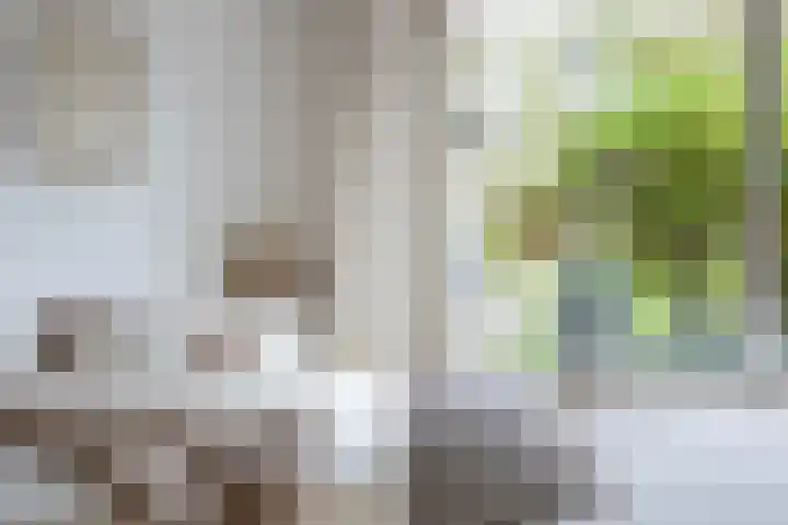 Tialling van Eysingawei 2 Marsum thumbnail 27