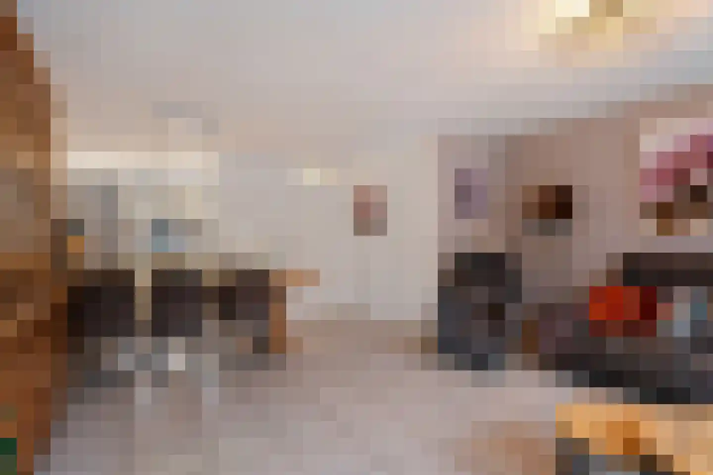 Tiamahout 10 Zoetermeer thumbnail 14