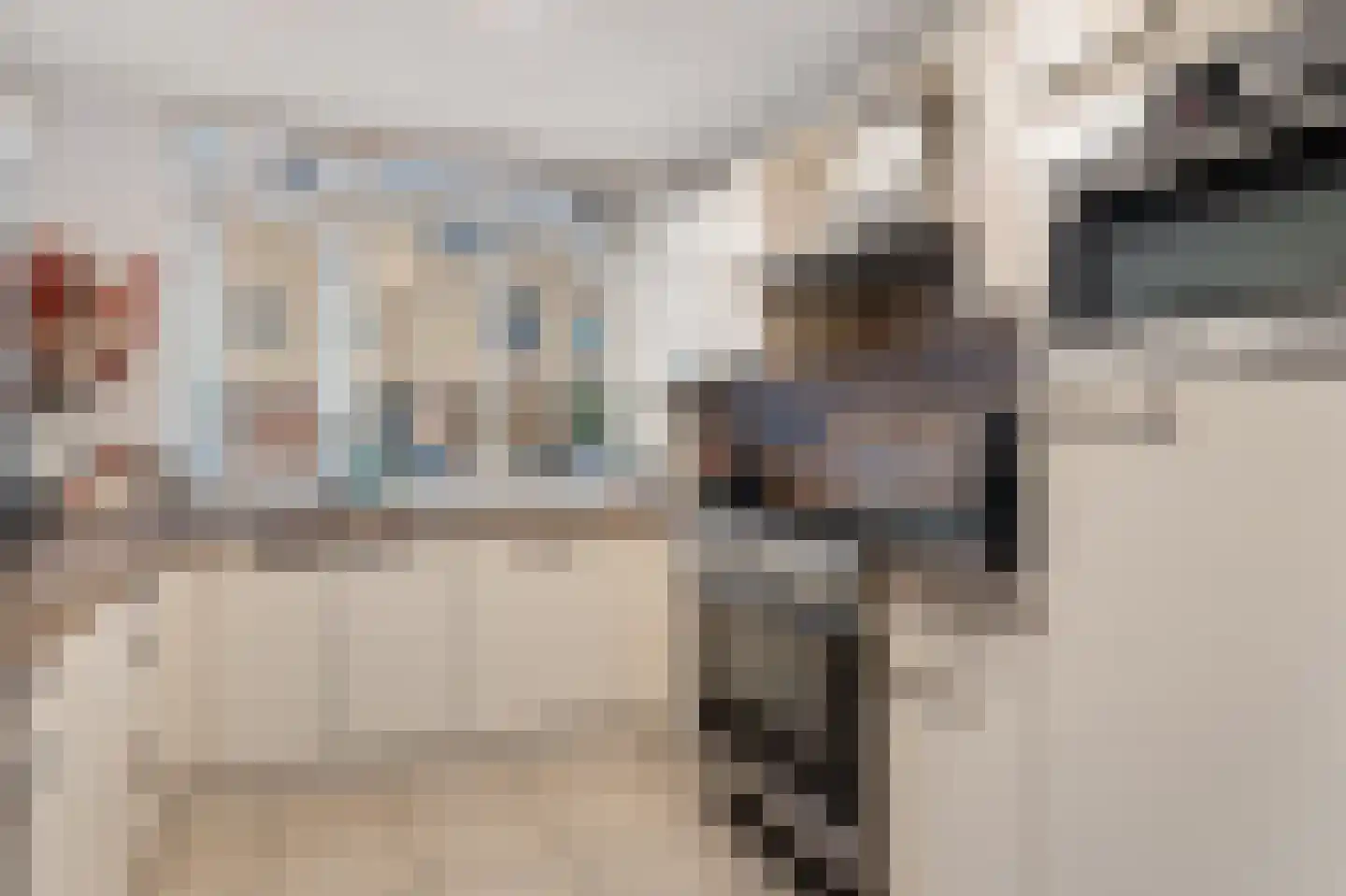 Tiamahout 10 Zoetermeer thumbnail 17