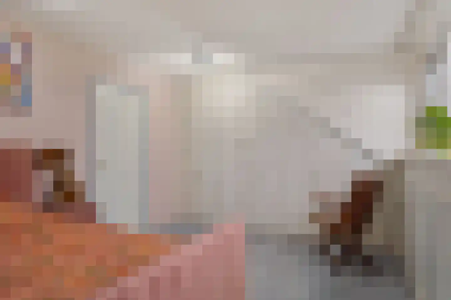 Tiamahout 10 Zoetermeer thumbnail 42