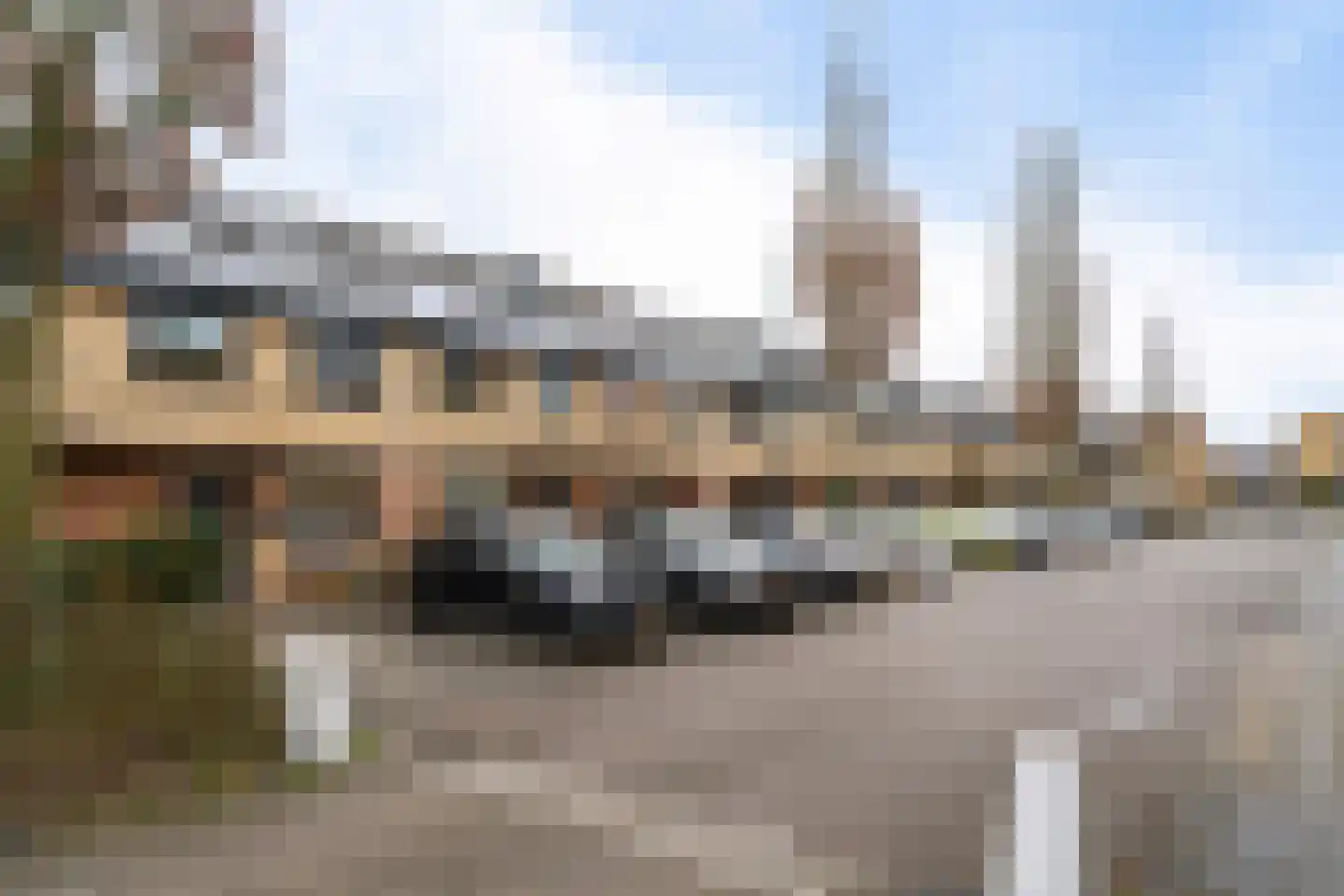 Tiamahout 10 Zoetermeer thumbnail 46