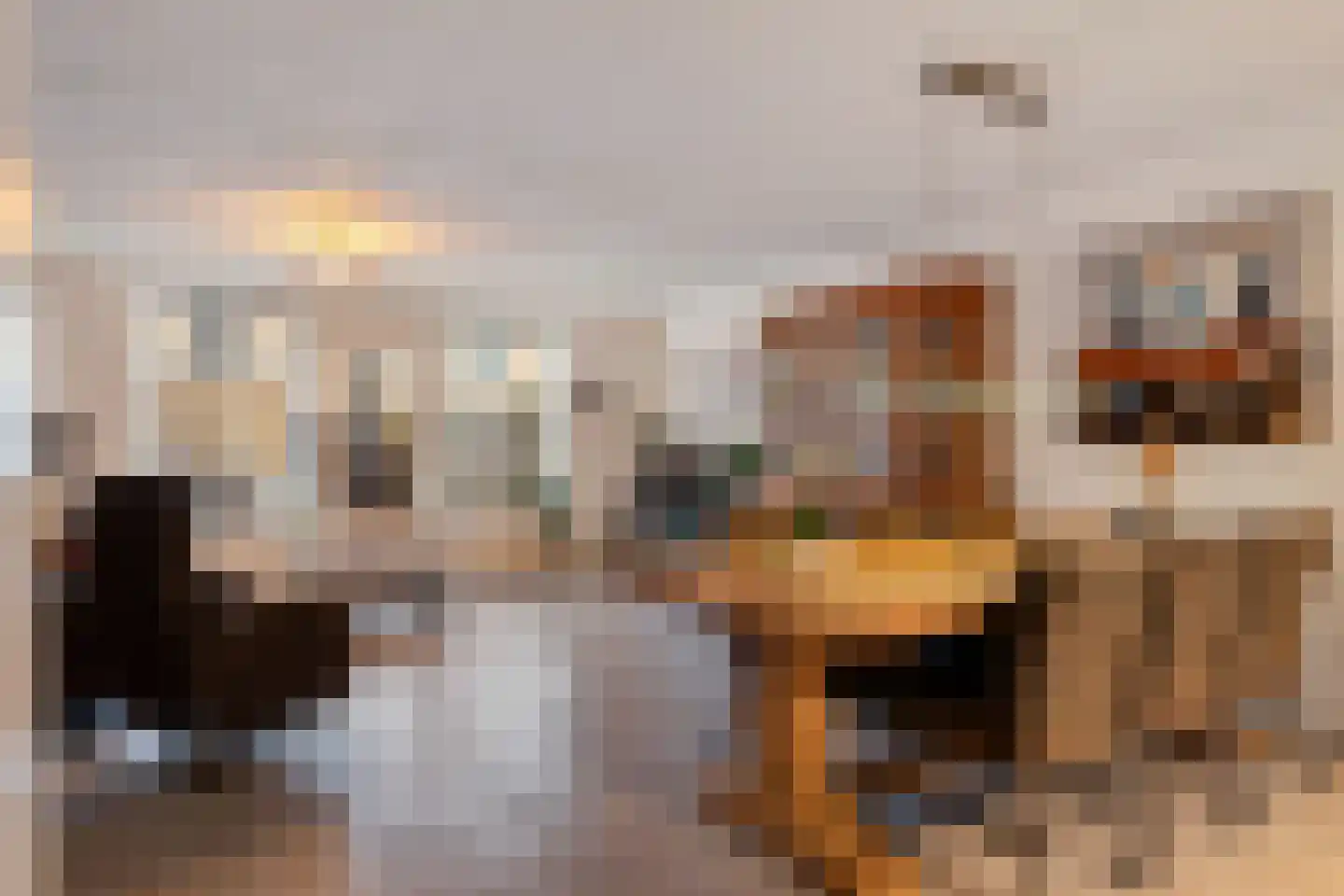 Tiamahout 10 Zoetermeer thumbnail 9