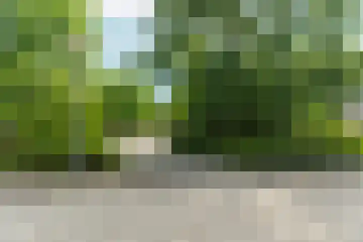Tiarastraat 23 Almere thumbnail 10