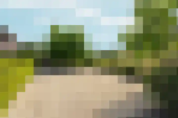 Tiarastraat 23 Almere thumbnail 11