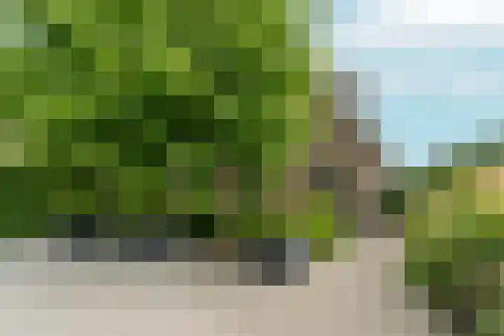 Tiarastraat 23 Almere thumbnail 12
