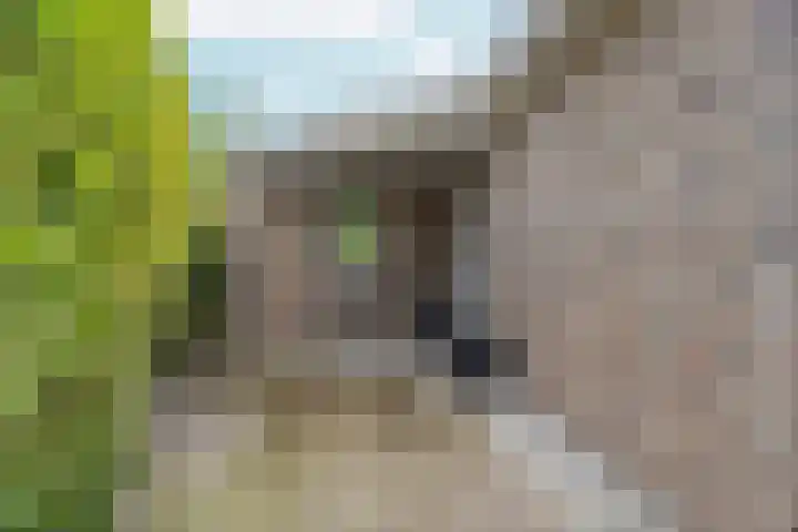 Tiarastraat 23 Almere thumbnail 14