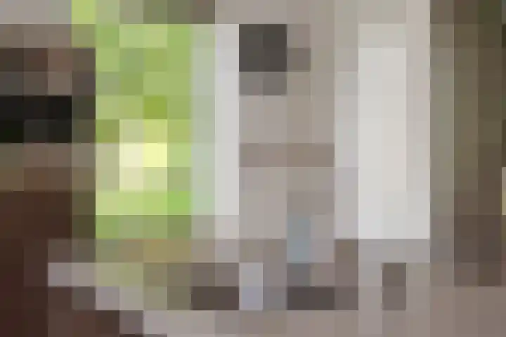 Tiarastraat 23 Almere thumbnail 33
