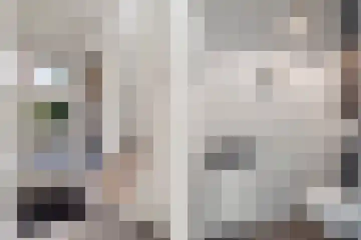 Tiarastraat 23 Almere thumbnail 38