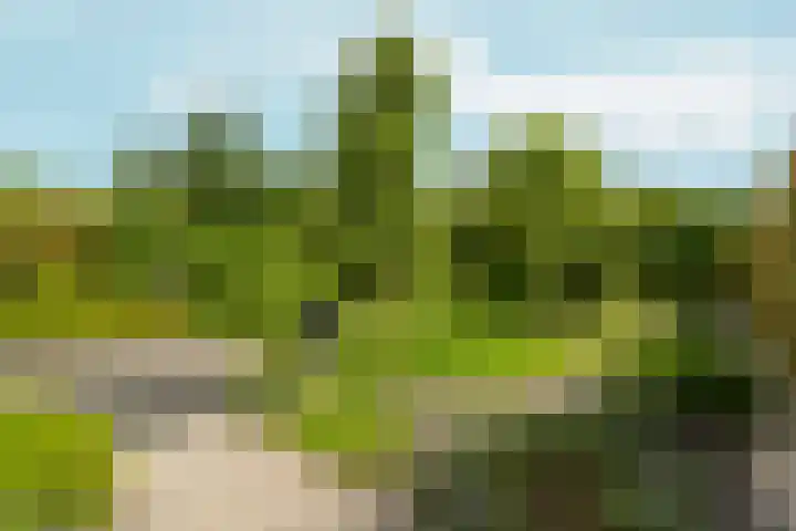 Tiarastraat 23 Almere thumbnail 4
