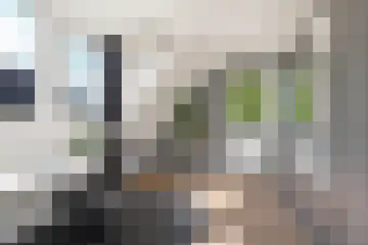 Tiarastraat 23 Almere thumbnail 51