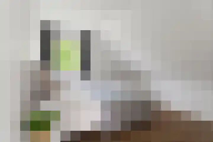 Tiarastraat 23 Almere thumbnail 54