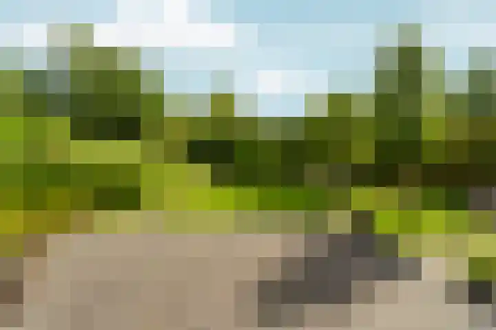 Tiarastraat 23 Almere thumbnail 58