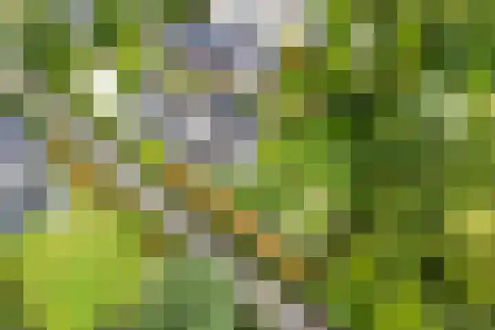 Tiarastraat 23 Almere thumbnail 6