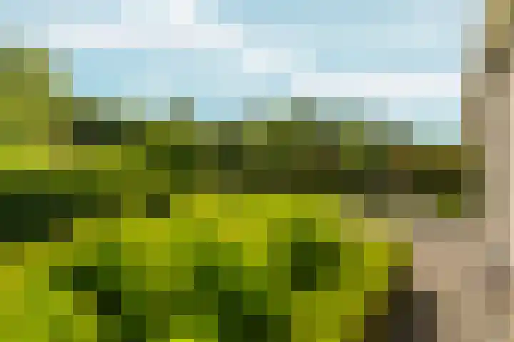 Tiarastraat 23 Almere thumbnail 61