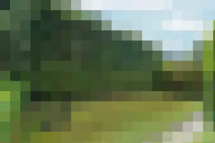 Tiarastraat 23 Almere thumbnail 64