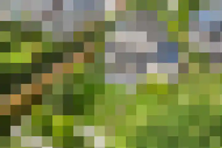Tiarastraat 23 Almere thumbnail 65