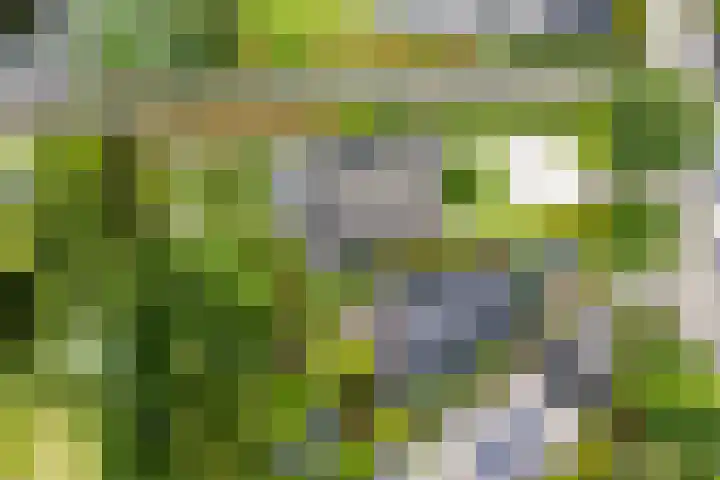 Tiarastraat 23 Almere thumbnail 66