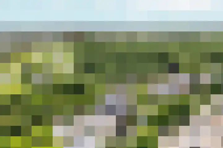 Tiarastraat 23 Almere thumbnail 67
