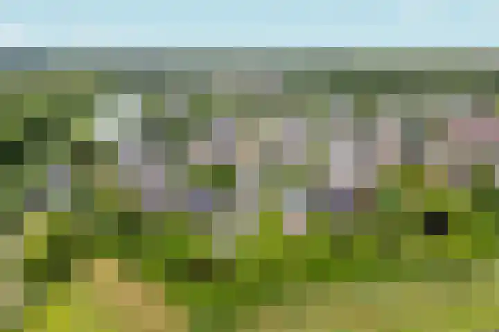 Tiarastraat 23 Almere thumbnail 68