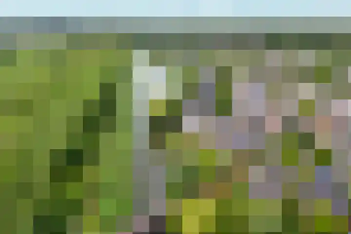 Tiarastraat 23 Almere thumbnail 69